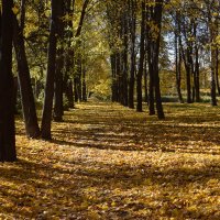 Осень в парке :: Григорий Вагун*