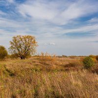 Осень :: Александр Синдерёв