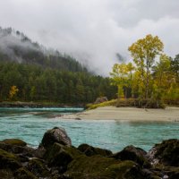 Катунь. Осень. :: Татьяна Титова