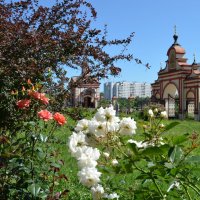 Во дворе Храма :: Анатолий Цыганок