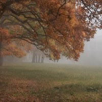 Екатерининский парк в осеннем тумане :: Fuseboy 