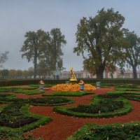 Монплезирский сад в тумане :: Владимир Колесников