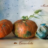 Ботанический альбом :: Юлия Назаренко