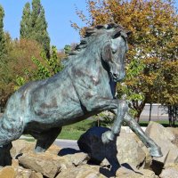 Скачущий конь - это новый символ Ростовской области :: Татьяна Смоляниченко