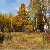Тёплый октябрь 2018 №3 :: Андрей Дворников