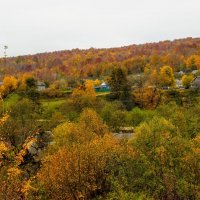Полыхает лес осенний жёлто-красною листвой :: Вячеслав Случившийся