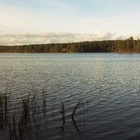 Осенью у озера :: Aнна Зарубина
