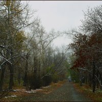 Предзимье. :: Владимир Михайлович Дадочкин