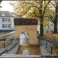 Tallinn :: Jossif Braschinsky