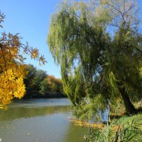 Осень у реки :: Нина Бутко