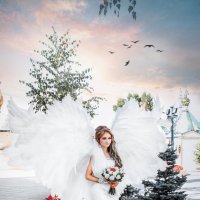 ангел :: Tatyana Zholobova