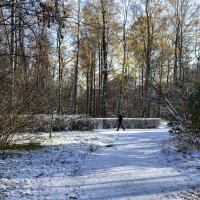 Первый снег осенним днём :: Nika Polskaya