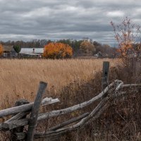 Деревенька :: Владимир Новиков