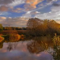 Была красивая осень :: Лара Симонова 