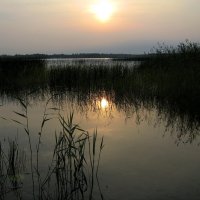 На озере :: Наталья 