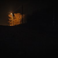 Ночь, улица, фонарь :: Александр Алин