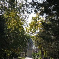 парк Ленина, аллея Ленина, и памятник :: Евгения Чередниченко