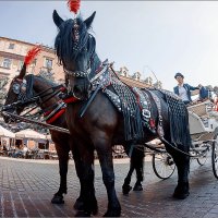 Krakow street :: Jiří Valiska