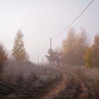 Светлый туман :: Владимир Макаров