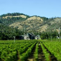 Какой-то красивый замок за виноградниками, Калифорния :: Юрий Поляков