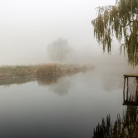 Осенний туман над речкой. :: Владимир M
