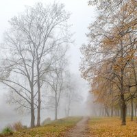Сквозь пелену тумана :: Сергей Тарабара