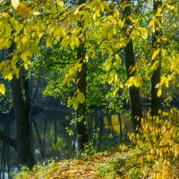 Прогулка по осеннему городу (89) :: Виталий 