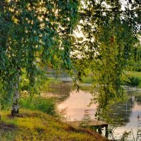 Летний вечер у реки :: Olcen Len