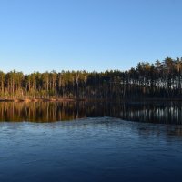 Лесное озеро в ноябре. :: Григорий Вагун*