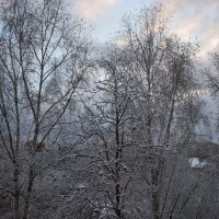 Первый снег. :: Григорий Вагун*