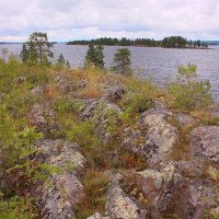 ОСЕНЬ В КАРЕЛИИ НА ОНЕЖСКОМ ОЗЕРЕ :: Николай Гренков