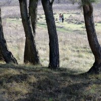 "Узлісся...Допитливі туристки" :: Ростислав Кухарук