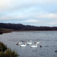 Городищенское озеро. Изборск. :: Ирина ***