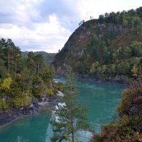 Катунь. Осень в Чемале :: Вера Андреева