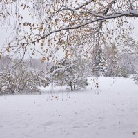 Первый снег (5) :: Nina Karyuk