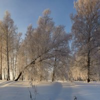 Доброго зимнего утра! :: Николай Мальцев