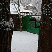Снег идёт :: san05 -  Александр Савицкий