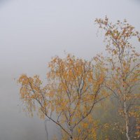 Туманное утро на Урале :: Михаил Новожилов