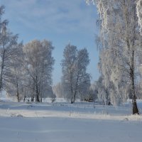 *** :: Николай Мальцев