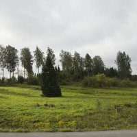 Финские равнины :: Александр Рябчиков