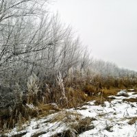 Морозное утро в деревне :: Татьяна Королёва