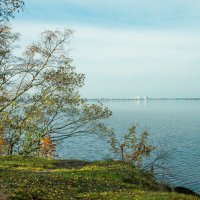 Осень на берегу озера Разлив (10) :: Виталий 
