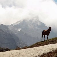 ГОРЫ, восхождение. :: Виктор Осипчук