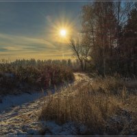 Первый день зимы 2018 :: Андрей Дворников