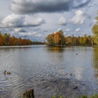 Октябрь на Белом озере :: Владимир Колесников