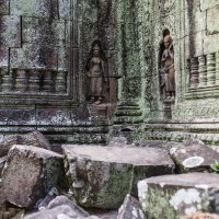 На руинах Ангкора :: Nika Polskaya