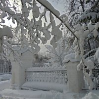 Снежно :: Татьяна Егорова