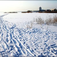По тонкому льду. :: Александр Шимохин