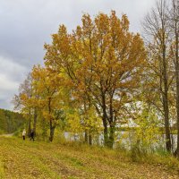 На берегу озера :: Галина Новинская