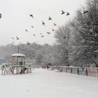 После снегопада :: Василий Ворона